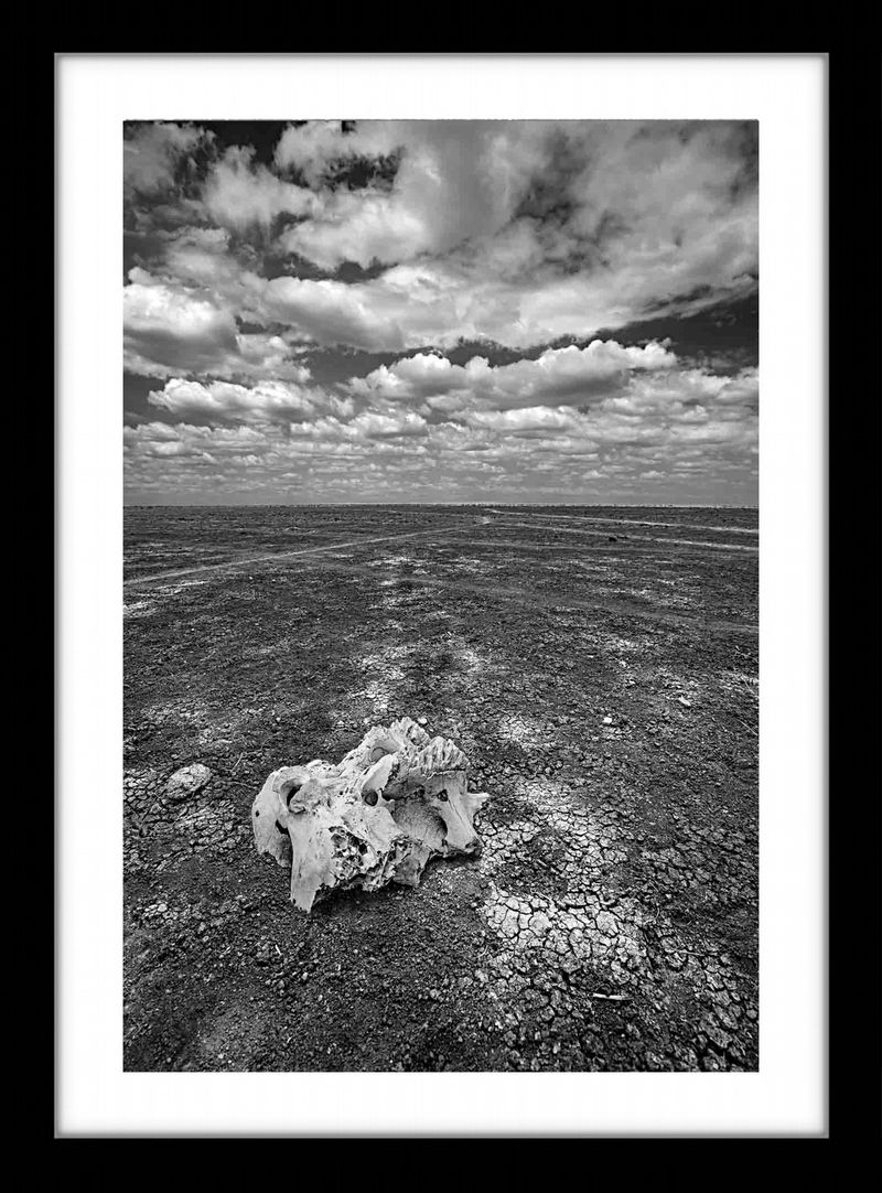 36 x 24 in., edition of 15